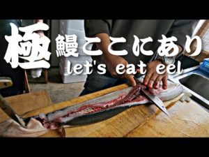 鰻釣り師の「雪ノ下鰻」天然のうなぎを捌いて喰らう！let's eat eel