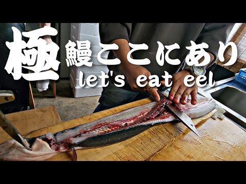 鰻釣り師の「雪ノ下鰻」天然のうなぎを捌いて喰らう！let's eat eel