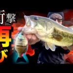 【速報】陸っぱり超特化型バス釣りルアー衝撃再び発売決定！