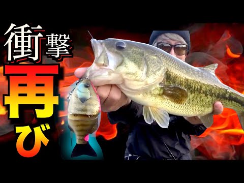 【速報】陸っぱり超特化型バス釣りルアー衝撃再び発売決定！