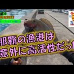 【沖縄釣り】那覇の漁港は意外に高活性だった　沖縄釣武士撃沈釣行記2023　夏フカセ・カーエー編018