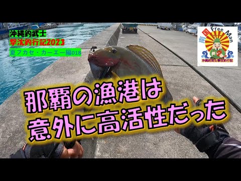 【沖縄釣り】那覇の漁港は意外に高活性だった　沖縄釣武士撃沈釣行記2023　夏フカセ・カーエー編018