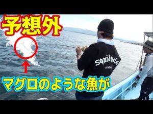 浅い場所で釣りしてたらマグロみたいな魚が釣れた！！