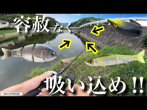 【夏のバス釣り】トップウォーターや、様々なルアーが高反応！『G-DASH』『ジョイクロ』バシリスキー　ビッグベイト　レイドジャパン　ガンクラフト　デプス　ベイトタックル　シマノ　アンタレス　岡山県野池