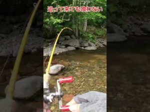 ルアー釣りアルアル【ありすぎる】