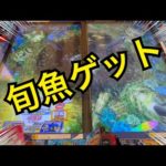 【図鑑プラス】釣りスピリッツ★メダルゲーム★釣りスピnet_20230716