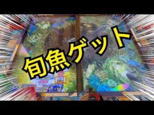 【図鑑プラス】釣りスピリッツ★メダルゲーム★釣りスピnet_20230716