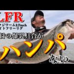 ☑︎異常な反応！チビナメLFR #bassfishing  #バス釣り #ナメクジワーム