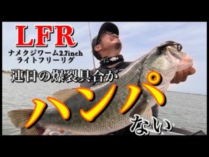 ☑︎異常な反応！チビナメLFR #bassfishing  #バス釣り #ナメクジワーム