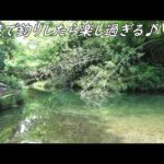 誰もいない秘境で釣りしたら楽し過ぎた♪