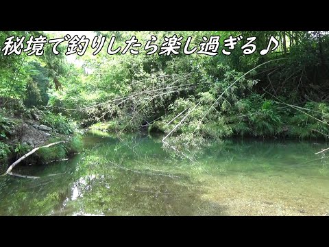 誰もいない秘境で釣りしたら楽し過ぎた♪