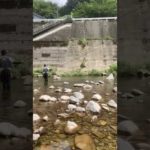 人生2回目の鮎釣り＠有田川　【フィッシングマックス上野芝店】