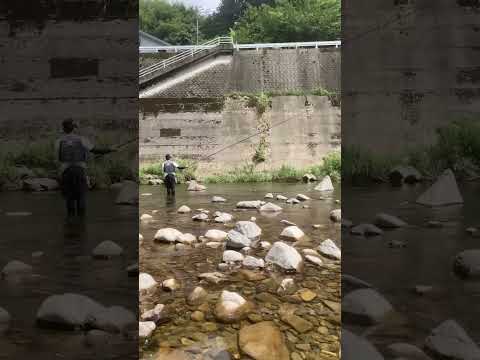 人生2回目の鮎釣り＠有田川　【フィッシングマックス上野芝店】