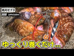 【釣り初心者必見】このルアーただ巻きすれば魚が釣れます!!