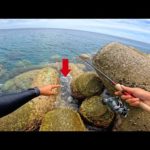 【衝撃映像】穴釣り史上誰も見たことが無い生物が釣れて大興奮