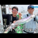 【おとな釣り倶楽部】走水のテンヤがアツイ！　夏のタチウオ、“夏タチ”を楽しむ
