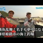 【釣り百景】#496 高級魚乱舞！名手も夢中になる兵庫県姫路市の海上釣堀
