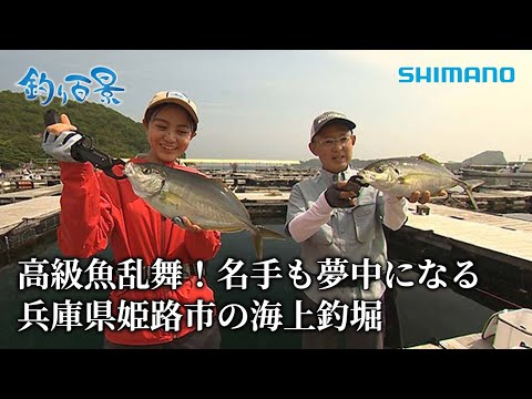 【釣り百景】#496 高級魚乱舞！名手も夢中になる兵庫県姫路市の海上釣堀