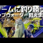 【トップウォーター】ワームに釣り勝てるポッパー教えます。