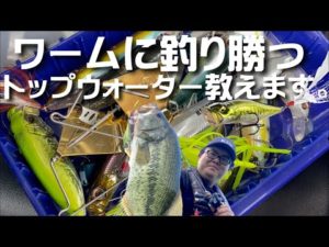 【トップウォーター】ワームに釣り勝てるポッパー教えます。