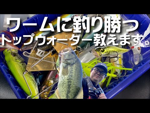 【トップウォーター】ワームに釣り勝てるポッパー教えます。