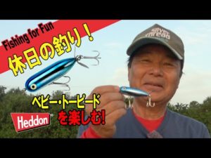 【ヒロ内藤流バス釣り】ベビー・トーピードで遊ぶ！【へドン社　ベビー・トーピード　トップウォーター】