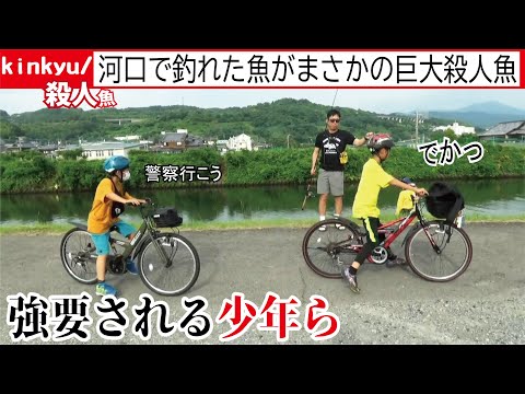 一時騒然となる少年ら！一突きで殺傷力のある巨大殺人魚を河口で釣ったおじさんに騙された
