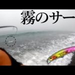【釣り】ゴンゴンッ...！霧に包まれたサーフでヒット！！【ヒラメ・マゴチ】