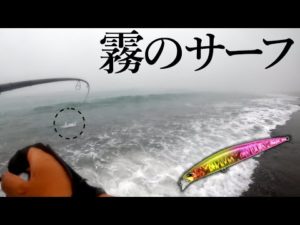 【釣り】ゴンゴンッ...!霧に包まれたサーフでヒット!!【ヒラメ・マゴチ】