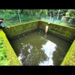 50年間手つかずの人工池で釣りしたらとんでもない生態系してた