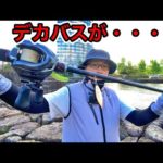 デスアダー6インチでデカバスが来る・・・琵琶湖バス釣りライブ