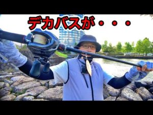 デスアダー6インチでデカバスが来る・・・琵琶湖バス釣りライブ