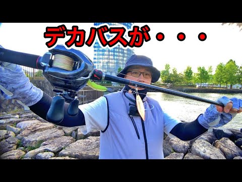 デスアダー6インチでデカバスが来る・・・琵琶湖バス釣りライブ