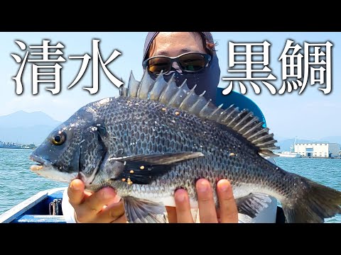 【静岡で黒鯛数釣り】波と風に力戦奮闘！