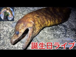 誕生日ライブ!!コメント読みたいから釣り投網!!