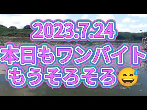 2023.7.24ワンアタリ!すっぽ抜け!宇治川ブラックバス釣り!