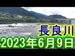 鮎釣り 40㎝高引水笹濁り強 支流牛道川為真橋 上下 和合橋 長良川  2023年