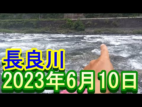 鮎釣り カンジの瀬 藤の森大橋上下 高鷲浄化センター上 長良川  2023年