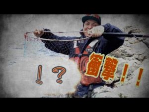 【高島】こんな事ある!?衝撃のアレが釣れたww