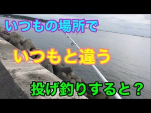 いつもの場所でいつもと違う投げ釣りすると？知多半島