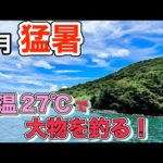 釣った魚で朝食！デカイカも狙って夏ボート釣りが楽しい！