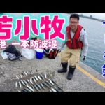 釣り日記♯９０ 苫小牧サビキ釣り ナブラ発生！？ ♯サバ釣り