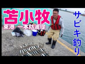 釣り日記♯９０ 苫小牧サビキ釣り ナブラ発生！？ ♯サバ釣り
