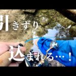 水深30cmの穴釣りで死闘になった