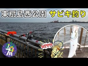 7月の東扇島西公園でサビキ釣り釣査！湾奥で中々釣れない、人気のあの魚の良型をゲット！！