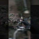 イワナのいる場所⑨ #shorts #渓流釣り #渓流ルアー