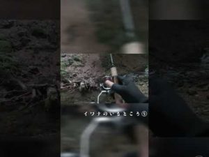 イワナのいる場所⑨ #shorts #渓流釣り #渓流ルアー