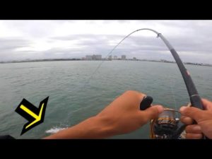 浜名湖で釣りしたら…