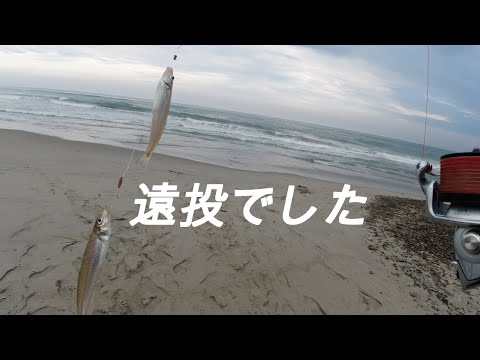遠投でした‼ 表浜のキス釣り