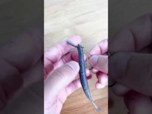 【ヘビーソルト】スーパースティック４㌅のジカリグ(バス釣り)